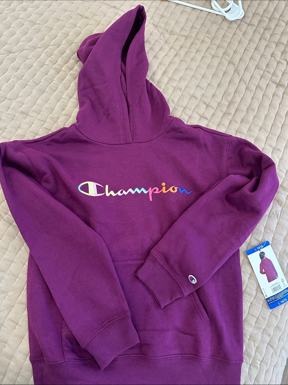 Champion Girls Hoodie in Plum